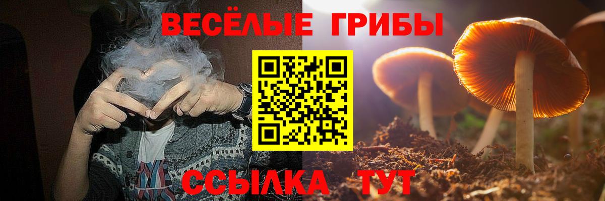 Псилоцибиновые грибы Psilocybine cubensis  Псилоцибиновые грибы Magic Shrooms  Вход с VPN  Карасук 