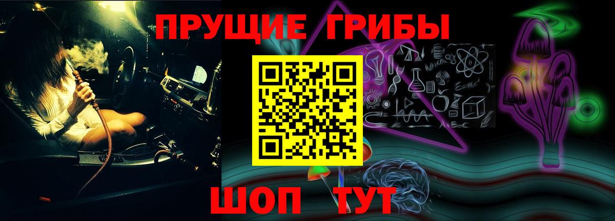 Псилоцибиновые грибы Psilocybine cubensis Карасук